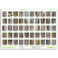 Load image into Gallery viewer, Tree Bark Poster
