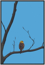 Load image into Gallery viewer, Yellowhammer - digital artwork - print with frame
