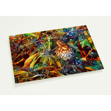 Load image into Gallery viewer, All the thrushes were magic thrushes - 10  postcards + envelopes
