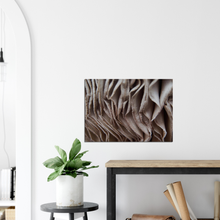 Load image into Gallery viewer, Parasol Mushroom Gills - Canvas
