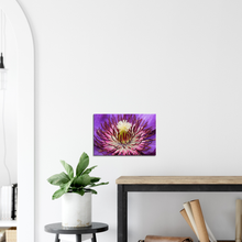 Load image into Gallery viewer, Clematis - Canvas
