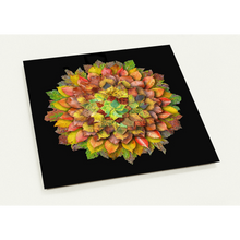 Load image into Gallery viewer, Autumn Leaves - 10 postcards + envelopes 14cm x 14cm
