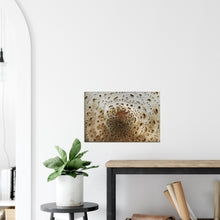 Load image into Gallery viewer, Parasol  mushroom -  Canvas
