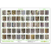 Load image into Gallery viewer, Tree Bark Poster

