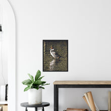 Load image into Gallery viewer, Pintail 2 - print with frame
