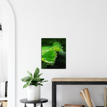 Load image into Gallery viewer, The world is full of magic things - Canvas
