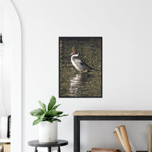 Load image into Gallery viewer, Pintail 2 - print with frame
