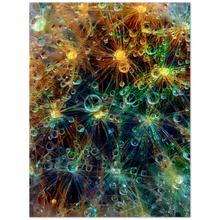 Load image into Gallery viewer, Dandelion Universe - print, no frame
